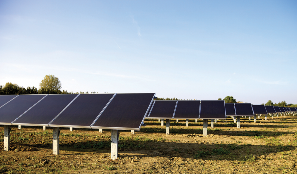 Optex redwall Solar Farm